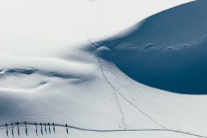 Wim Hof – omul care nu poate fi explicat de ştiinţă