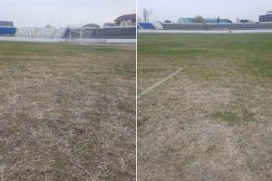 Buruiana ”verde” de acasă….. Gazonul care a costat 15.000 de euro de pe Stadionul Cetate din Alba Iulia nu a rezistat peste iarnă