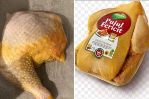 Puiul Fericit de la Agricola se decoloreaza la prima spalare! Rusineee!!!