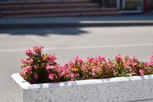 Firma avea datorii la stat in 2017: Cine reabiliteaza jardinierele amplasate pe domeniul public al municipiului Constanta? (document)