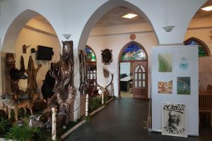 Expoziţie de grafică şi fotografie dedicată pădurii, pe holurile Direcţiei Silvice Suceava