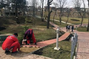 Alei special amenajate pentru cărucioare cu copii, biciclete, trotinete şi role, în Zona de ...