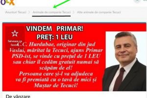 Premieră în România: Primarul unui oraş a fost scos la vânzare pe OLX de un cetăţean