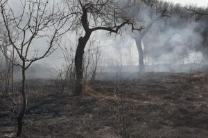 A pus foc la Moşoaia, a ars şi terenul vecinilor!