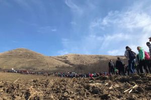 Mai bogaţi cu o pădure. Voluntarii Tăşuleasa Social au plantat puieţi pe 10 ha la Sânmihaiu de Câmpie