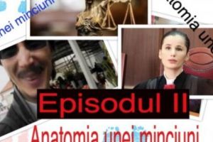 Anatomia minciunilor marca Vasilică Danileţ. (II) Cum sunt strâmbate faptele în cazul judecătoarei Evelina Oprea