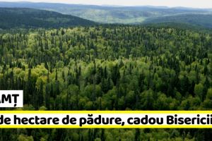 NEAMȚ: PSD vrea să dea Bisericii mii de hectare de pădure