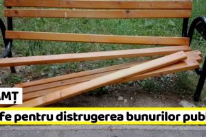 NEAMȚ: Tarife pentru distrugerea bunurilor publice la Roman. Un trandafir – 12 lei, o bancă – 400 de lei
