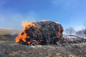 La un pas de tregedie! Un barbat din Tulcea a scapat focul de sub control (galerie foto) 