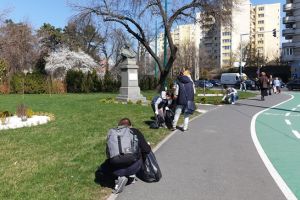 30 de kilograme de chiştoace adunate de voluntari de pe străzile Timişoarei