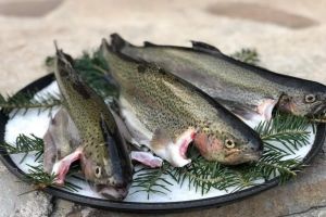 Două locuri în judeţ unde puteţi mânca păstrăv de Buna Vestire (FOTO)