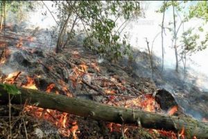 Prăpăd în Vâlcea. Zeci de hectare sunt în flăcări. ISU cere sprijin aerian