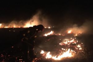 Pompierii, in alerta! Hectare de vegetatie, cuprinse de flacari (galerie foto)