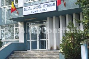 Raportul Curtii de Conturi pe anul 2017: DSVSA Constanta nu a inclus in programele de control verificarea primariilor cu privire la gestionarea cainilor fara stapan