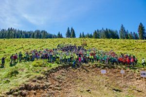 Holzindustrie Schweighofer: Proiectul Pădurea de Mâine plantează peste 200.000 de puieţi în primăvara anului 2019