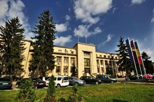 Primăria Roman fixează tarife pentru distrugerea plantelor şi obiectelor de pe domeniul public. Cât te costă să rupi un trandafir