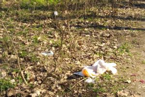 Grătarul de ieri, GUNOIUL de mâine! Cum îi „întâmpină” Pădurea Ceala pe arădeni (FOTO)