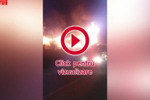 O casă a fost distrusă de flăcări, într-un incendiu izbucnit sâmbătă seara, la ...