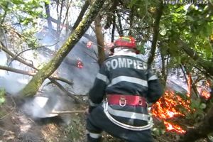 13 incendii de vegetaţie în 10 ore, în Bihor: Au ars aproape 140 de hectare de teren!