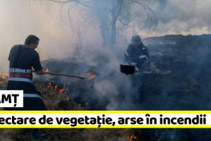 NEAMȚ: 13 hectare de vegetaţie uscată, arse în incendii