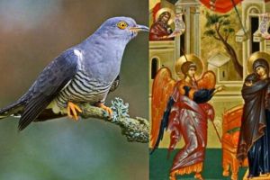 Buna Vestire sau Ziua Cucului: Sărbătoarea care interzice certurile