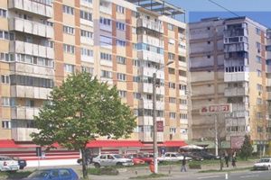 Consilierii liberali Adina Dumitrean şi Mariana Cismaşiu îi invită în audienţă pe arădeni