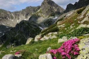 O nouă instituţie deconcentrată în Argeş