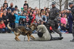 Poliţiştii, sub asalt: Ziua Poliţiei a adus sute de copii în Cetatea Oradea (FOTO / VIDEO)