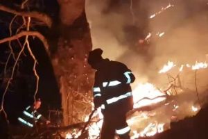 Incendiu puternic în Munţii Lotrului – Pompierii se luptă cu flăcările de peste 24 de ore