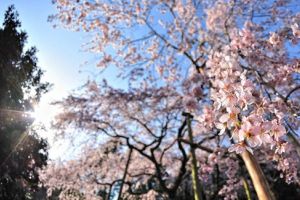 Prognoza meteo pe o lună: Cum va fi vremea până în 22 aprilie