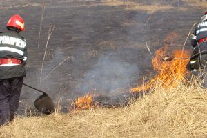 Fermierii hunedoreni ignoră avertismentele APIA