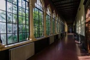 Sute de mii de români cer scoaterea ideologiei de gen din şcoli