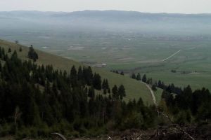 „Viitorul pădurilor din judeţul Harghita 2019”