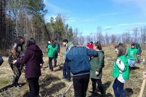 Elevi ai Colegiului ”Spiru Haret” au plantat 1. ...