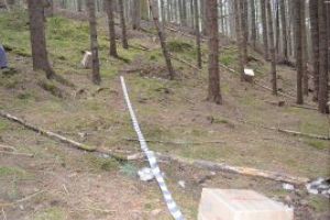 Carausi avertizati cu trei focuri de arma, la Valea Viseului