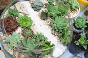 Atelier de primăvară Florarium