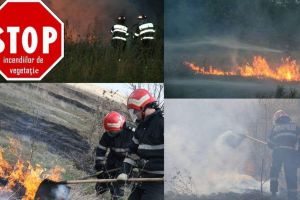 PUSCARIE pentru inconstientii care au dat foc padurilor la Malaia!!!