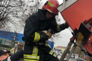 FOTO- Pisică, salvată de pompieri