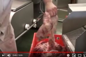 VIDEO! Nu ştim ce mâncăm! Vezi cum se injecteaza carnea! O sa te gandesti de 2 ori inainte sa cumperi