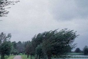 METEO. Cod Galben de vânt puternic. Află zonele afectate