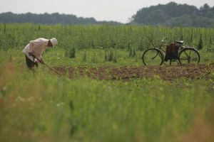 Taxele şi impozitele în 2020 la Sibiu – Majorări drastice pentru cine nu munceşte terenul sau îl lasă neîngrijit