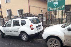 FOTO Desant de la Garda Forestieră, chiar acum, la Regia Pădurilor Săcele