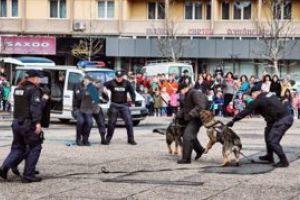 Baia Mare: Platoul din Piata Revolutiei, neincapator de Ziua Politiei (FOTO)