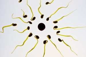Contraceptivele pentru bărbaţi au trecut cu brio primele teste de siguranţă pe oameni