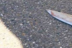 Cutremurător. Canibalism într-o ţară vecină cu România. O femeie şi-a tăit cei doi copii şi i-a mâncat