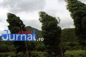Cod galben de vânt în zona de munte a judeţului
