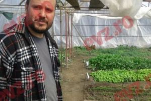 Tudor Lupu, inginer horticultor: „Țăranii chimizează tot! Cumpără pliculeţele cu otravă de la fitofarmacia din sat”