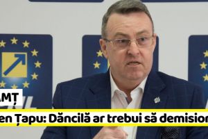 NEAMȚ: Senatorul Ţapu: ”Premierul Dăncilă ar trebui să demisioneze”