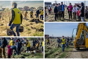 Aproape o sută de voluntari au plantat peste 2.000 de pomi lângă Dudeştii Noi