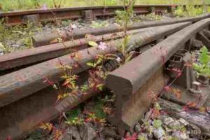 MORENI: După 30 de ani de distrugere sistematică, calea ferată a dispărut